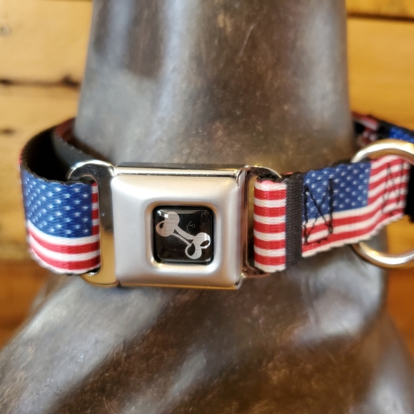 Buckle-Down Other - 🐕 American Flag dog collar size L
